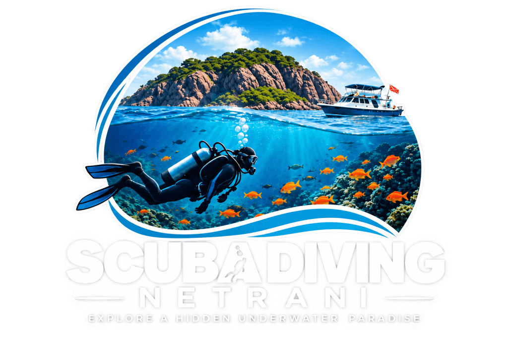 Scuba Diving Netrani — Explore a Hidden Underwater Paradise